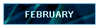 FEBRUARY