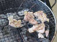 鳥のもも肉です。