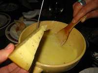 GOUDA TRUFFES