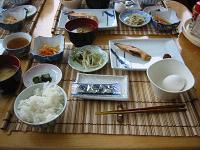今日は、卵付き〜♪