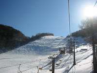 uꍂWCAgXL[ '07.1.5