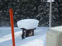 まるでマンガみたいに雪が積もってます。(笑)