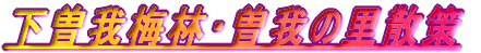 sE]ːȂ̕wUƖYN