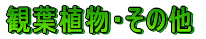 ϗtAȆ 