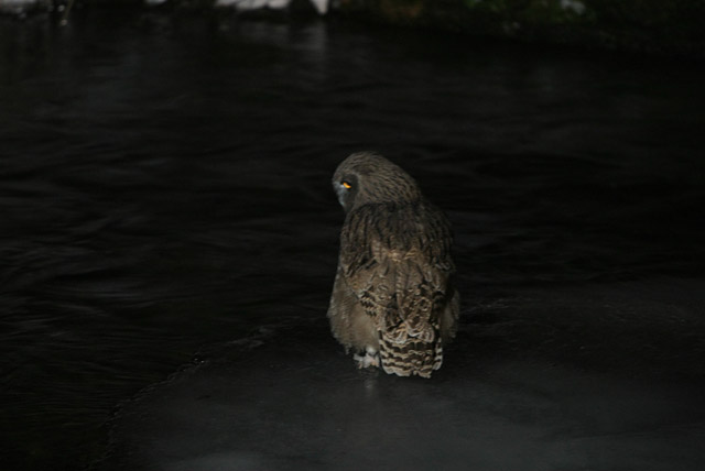 �N���b�N����Ɗg��ʐ^