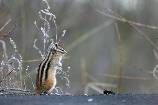 �����ځE�E�E