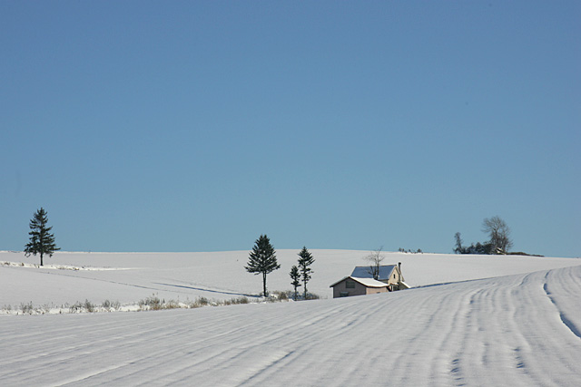 �Ԃ������̂��Ɓ�