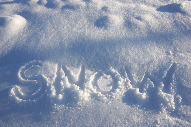 �������y������