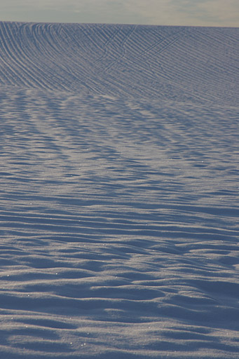 �u�̒����l�ɃL���L�����c�̐�