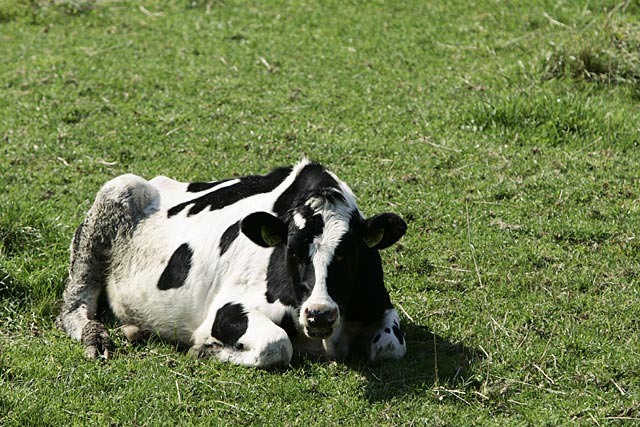 �����������l�ł́A�u�ł��H���ł���