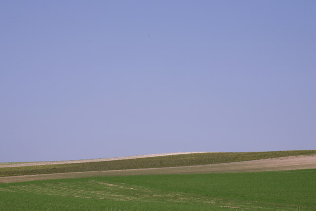 �T�^�I�ȋu�̎ʐ^�B