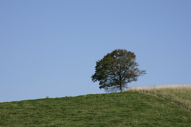 ��C������ŁA�V�C���ō��I