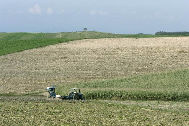 GW�Ȃǉ�X���V��ł��鎞�ɁA��x���܂œ����Ă���_�Ƃ̕���ǂ��������܂��Bm(__)m