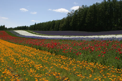 �ʂ�̔��A��Ԉʒu����