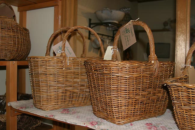 �ʐ^�Ō�����S�R�������肵�Ă��Ă������I�V�����ł��B