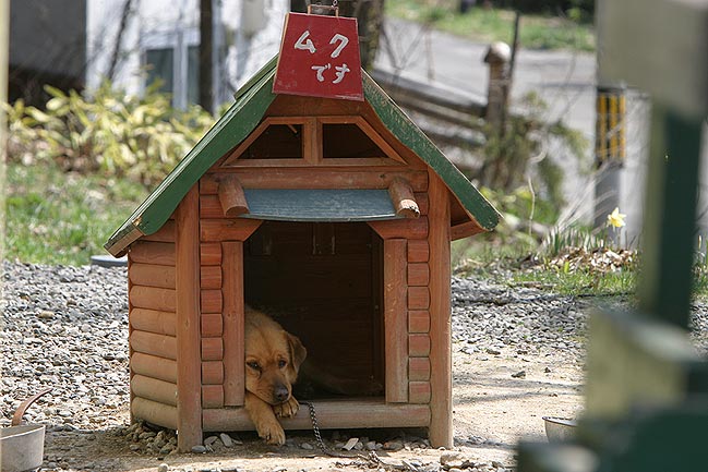 ���N�����A�����K���������ˁB(^o^)