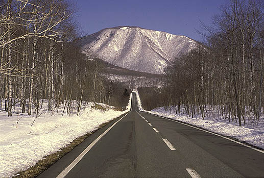 �����̓r���̐^�������ȓ�