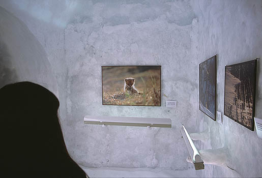 �|�c�Á@������̎ʐ^�W