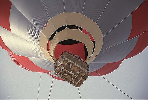 �P�X�X�U�N�R���A�M�C���̌�����B