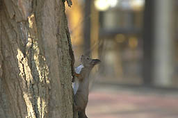 �N���b�N����Ɗg��ʐ^ ��48K