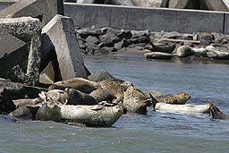 �N���b�N����Ɗg��ʐ^ 