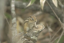 クリックすると拡大写真 約27K