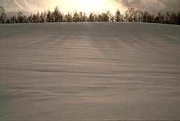 クリックすると拡大写真