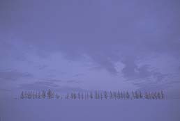 クリックすると拡大写真