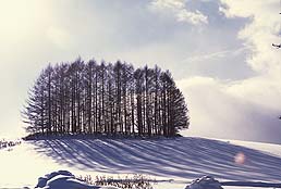 クリックすると拡大写真