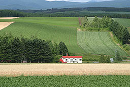 クリックすると拡大写真