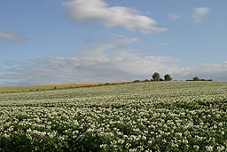 クリックすると拡大写真