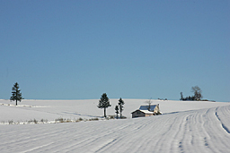 �N���b�N����Ɗg��ʐ^