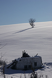 �N���b�N����Ɗg��ʐ^