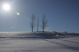 �N���b�N����Ɗg��ʐ^