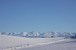 �N���b�N����Ɗg��ʐ^