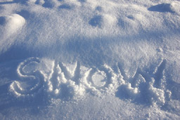 �N���b�N����Ɗg��ʐ^