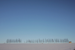 �N���b�N����Ɗg��ʐ^