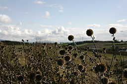 クリックすると拡大写真