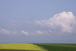 クリックすると拡大写真