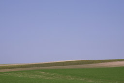 クリックすると拡大写真