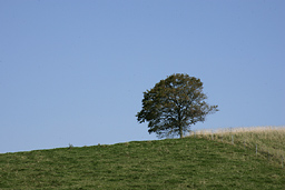 クリックすると拡大写真