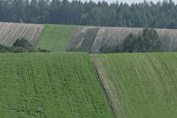 クリックすると拡大写真