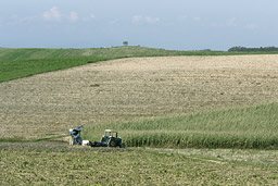 クリックすると拡大写真