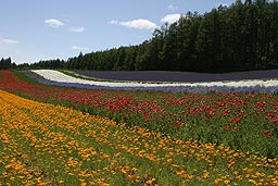 クリックすると拡大写真