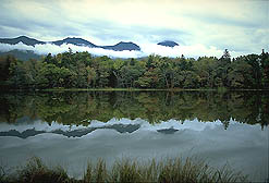 クリックすると拡大写真 約39K