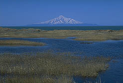 クリックすると拡大写真 約32K