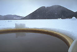 クリックすると拡大写真 約21K