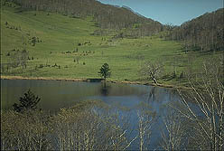 クリックすると拡大写真 約48K