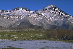 クリックすると拡大写真 約56K