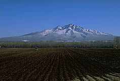 クリックすると拡大写真 約51K